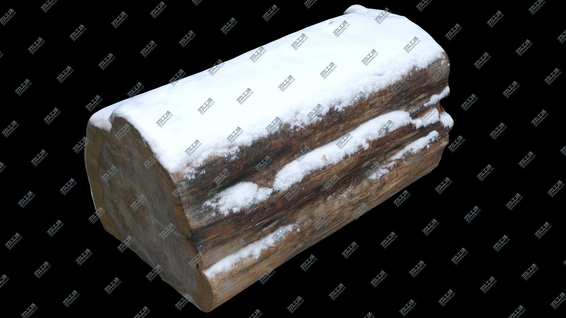 images/goods_img/202105073/Nature Snow Collection 02 3D model/4.jpg